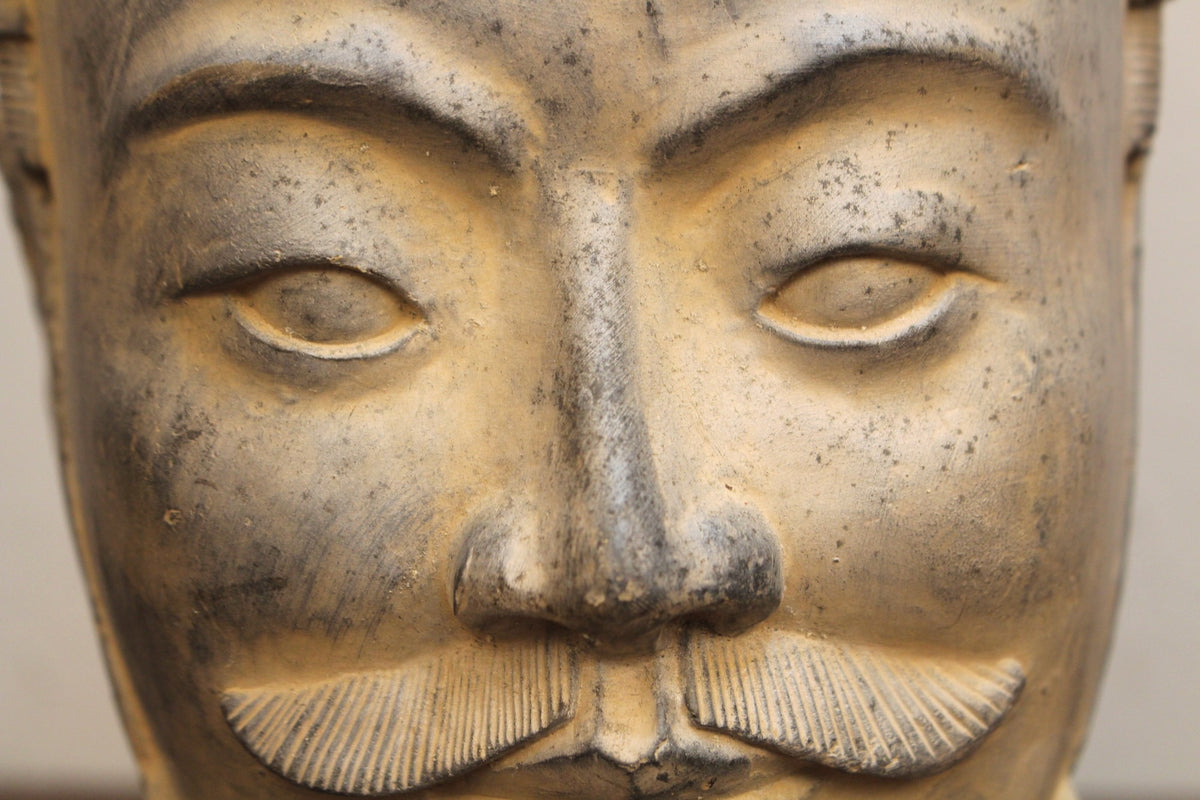 Terracotta Warrior Bust D