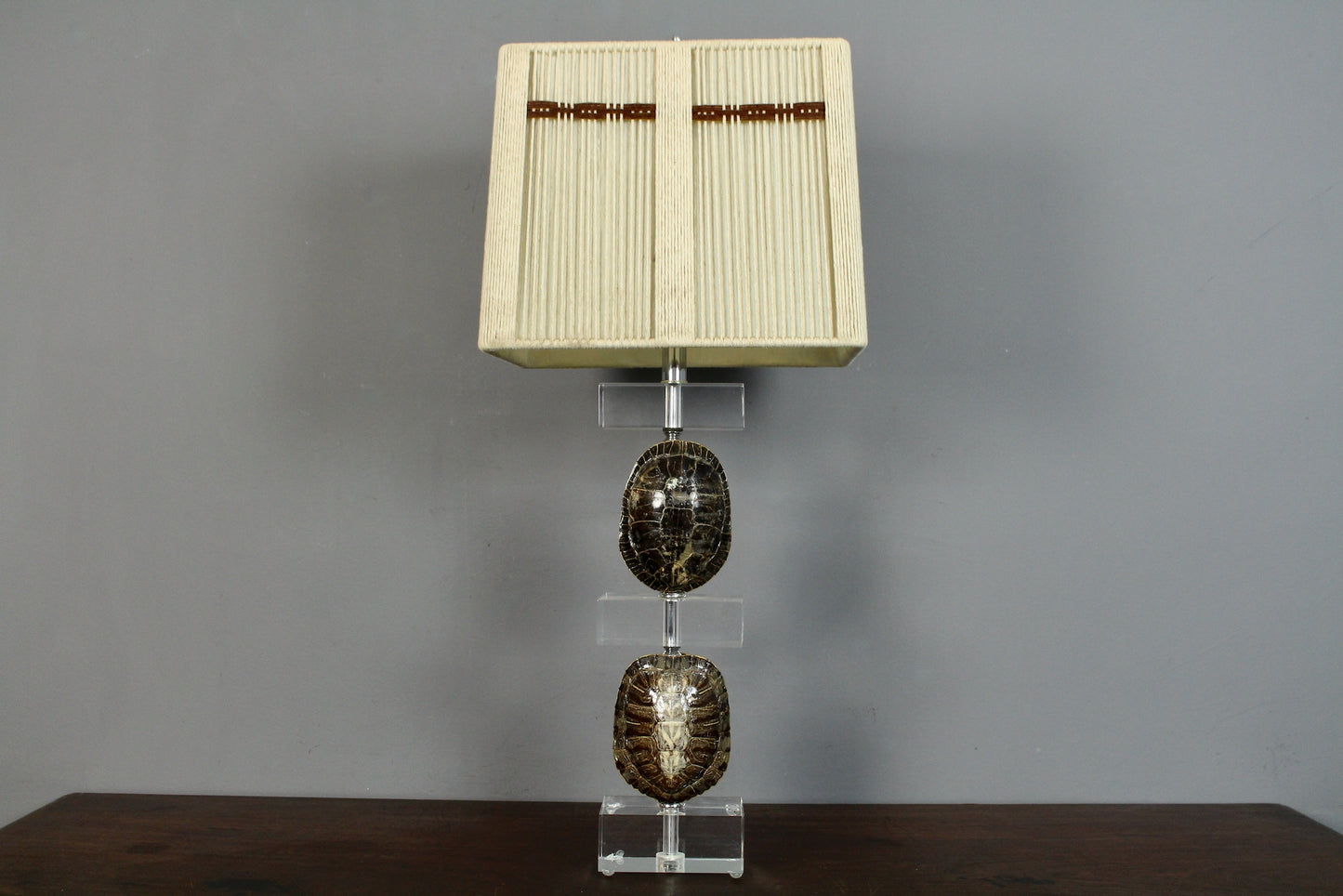 Turtle Shell & Lucite Table Lamp