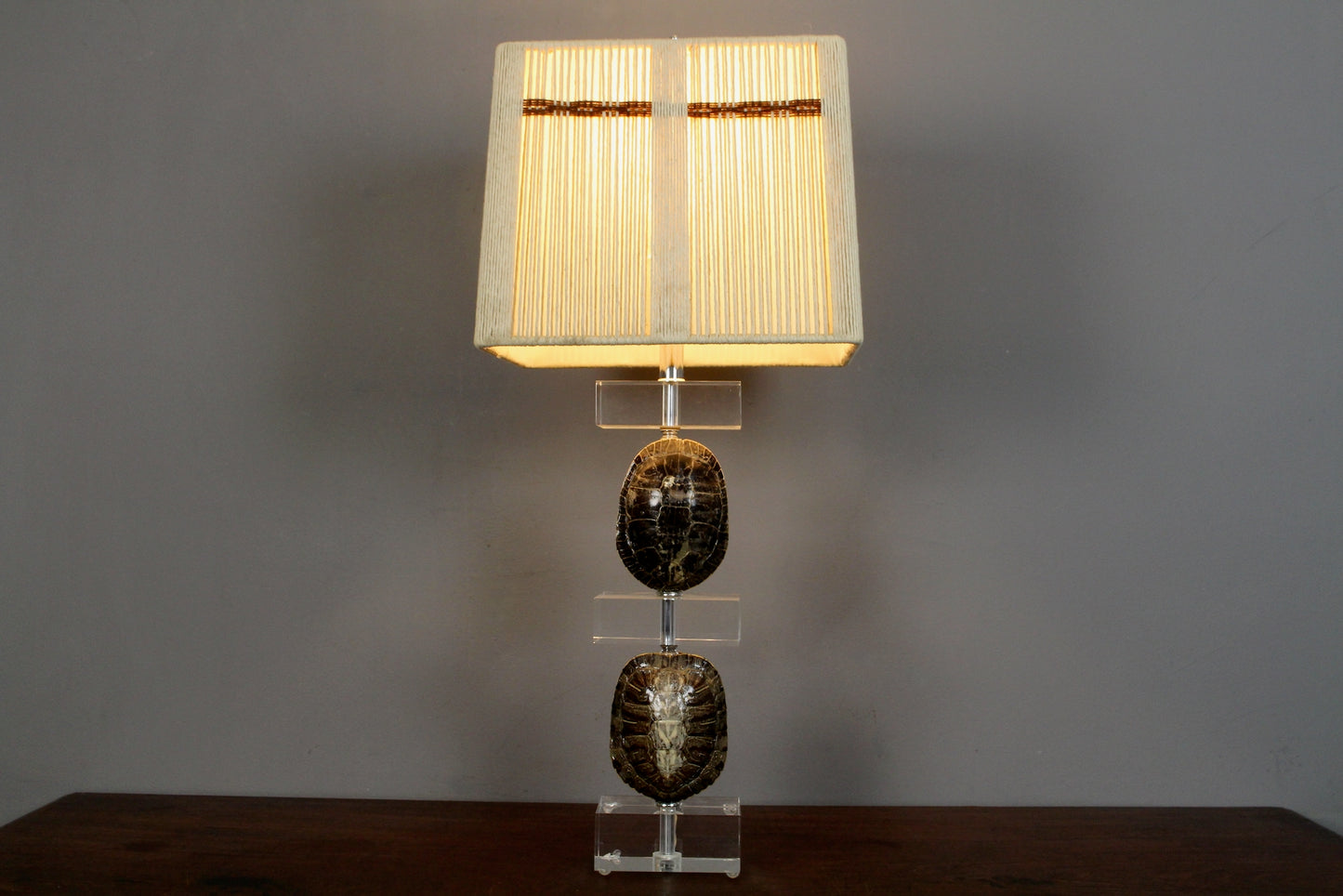 Turtle Shell & Lucite Table Lamp