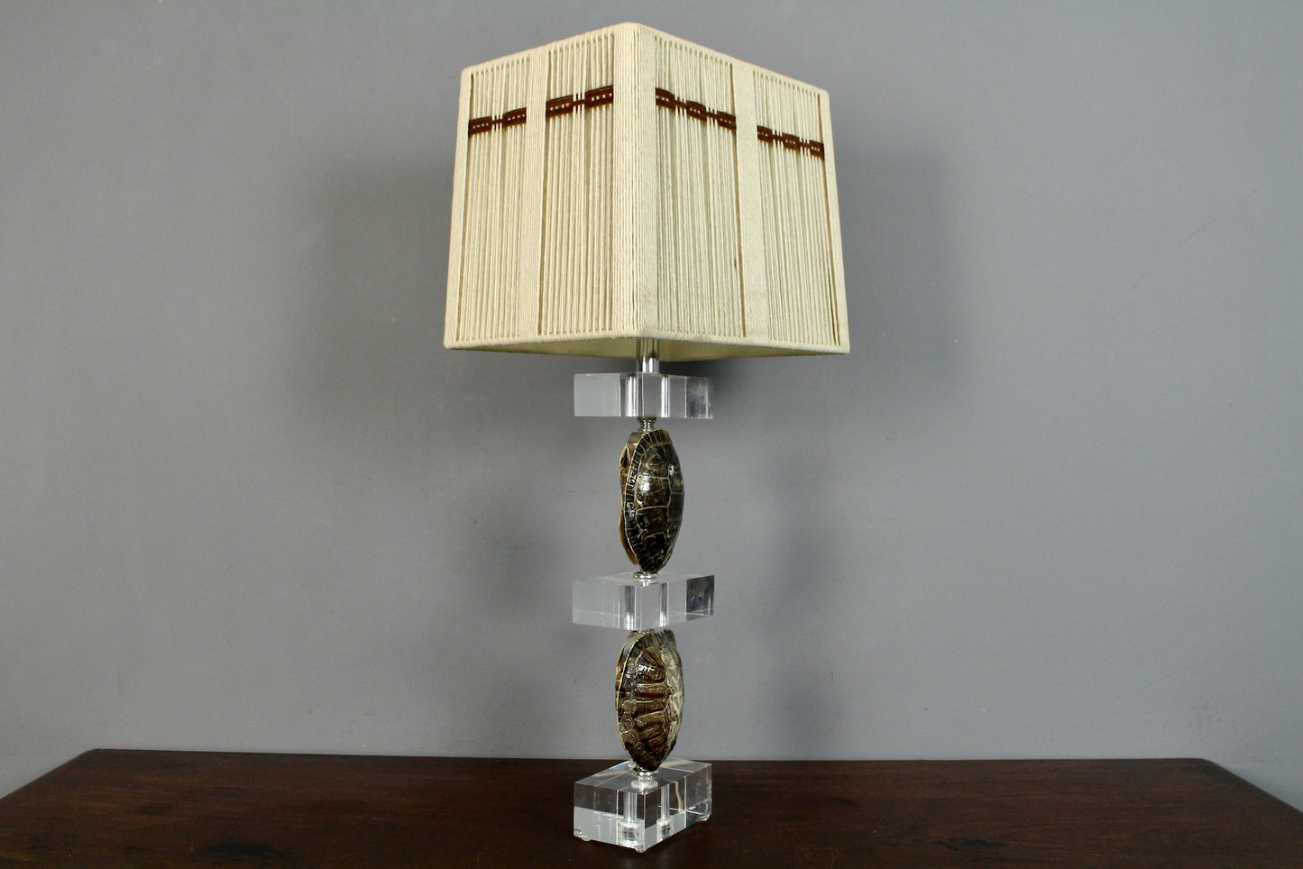 Turtle Shell & Lucite Table Lamp