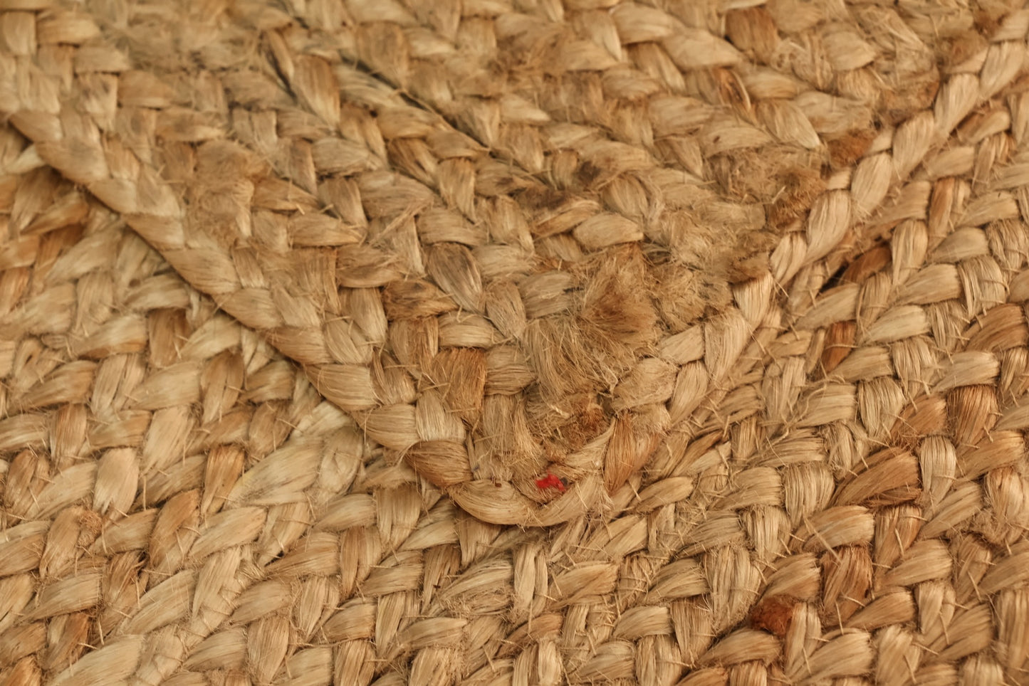 Braided Jute Area Rug