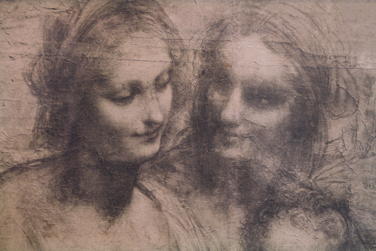 "Burlington House Cartoon" Leonardo Da Vinci Print