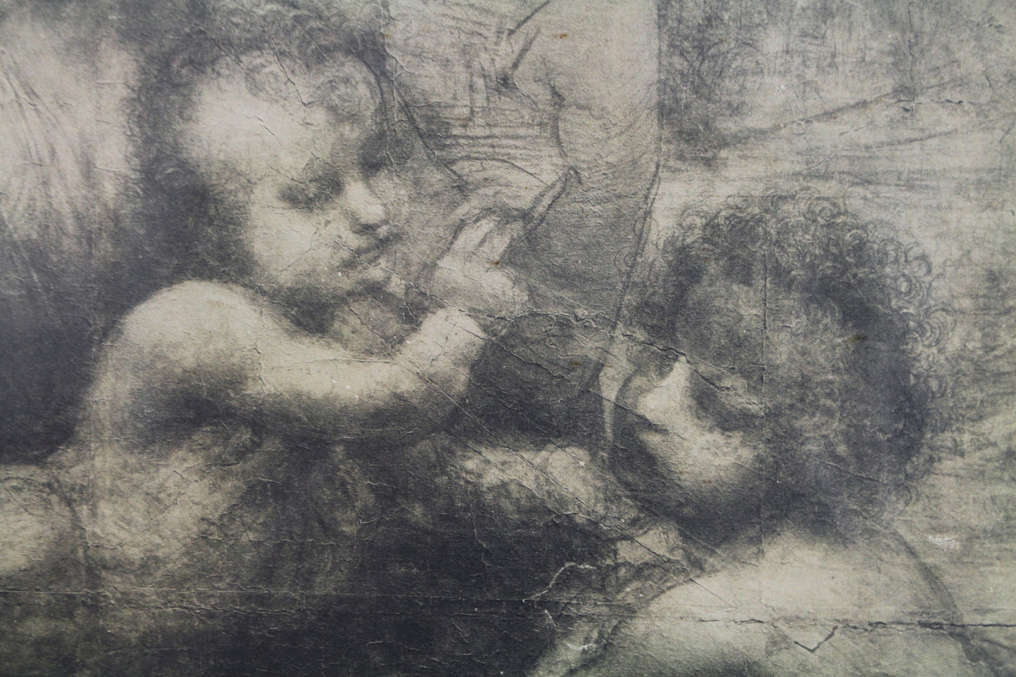 "Burlington House Cartoon" Leonardo Da Vinci Print