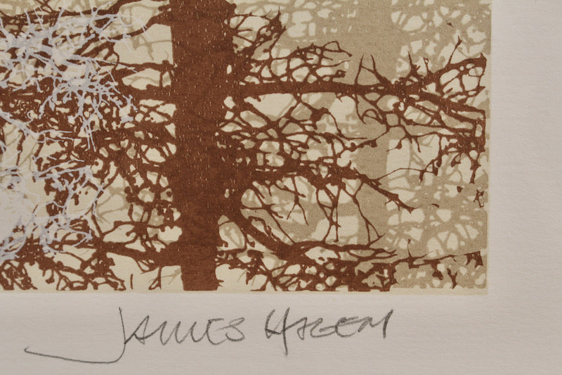"River at Dusk" Lithograph