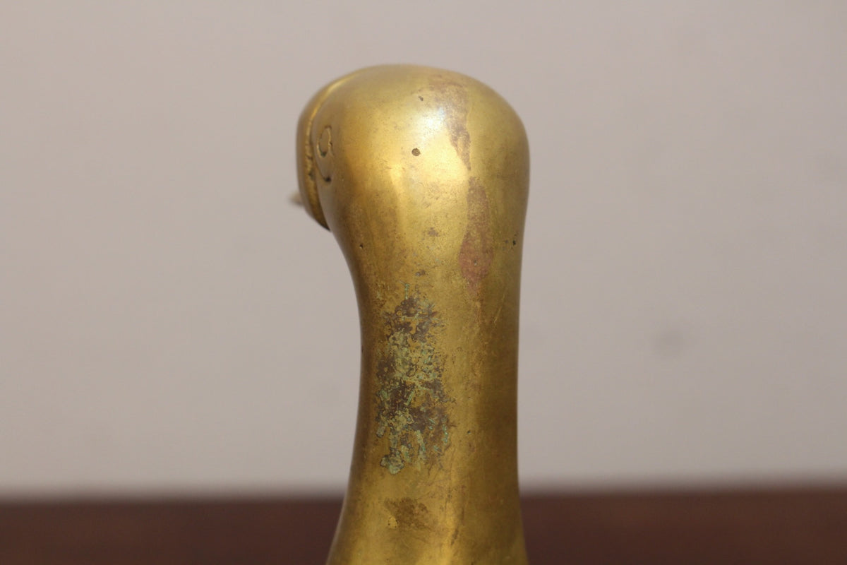 Brass Duck