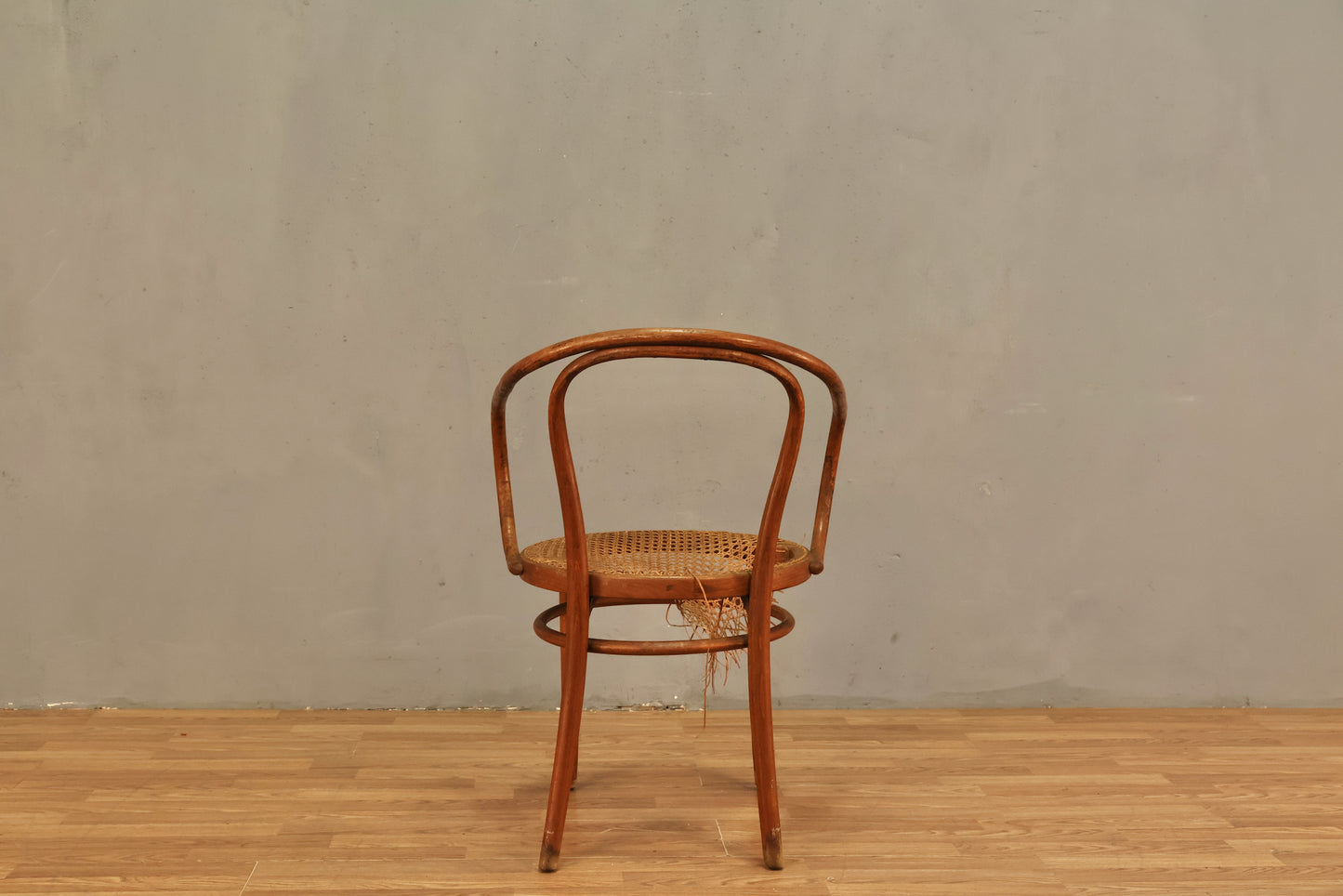 Antique Bentwood & Cane Armchair - ONLINE ONLY