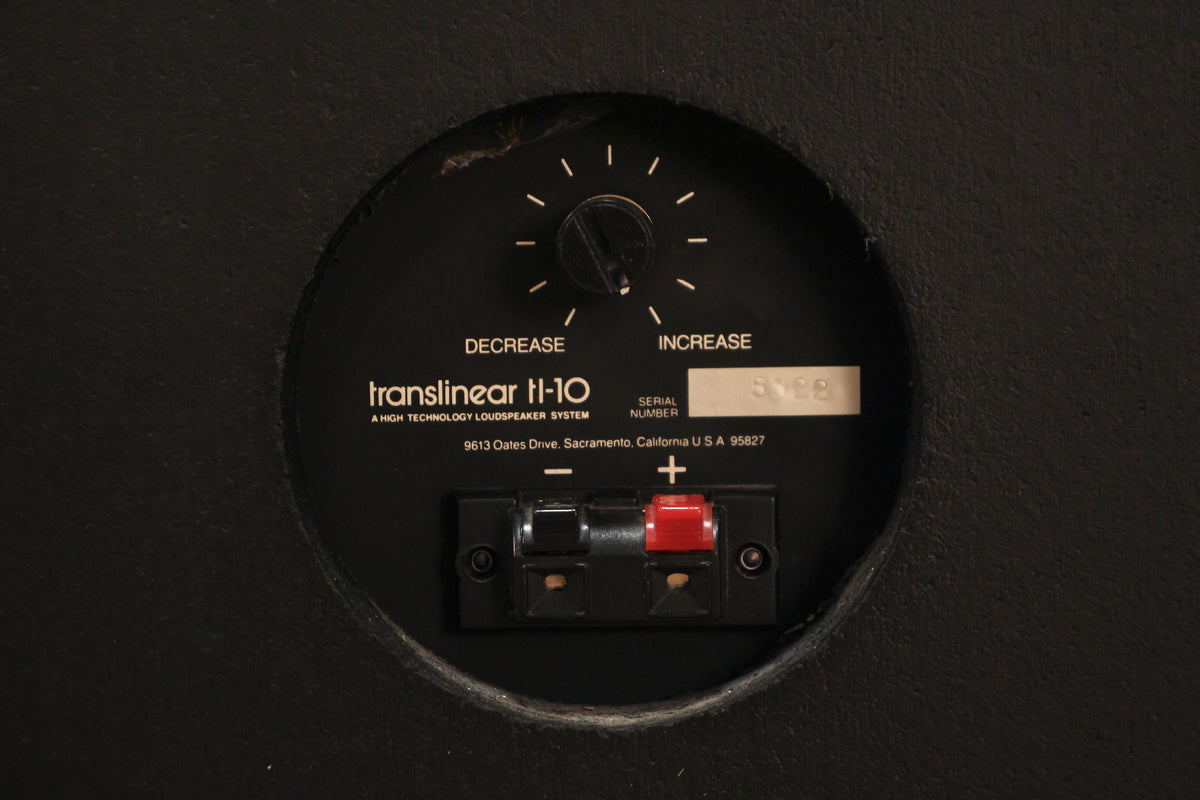 Pair of Translinear Laminate Floor Speakers