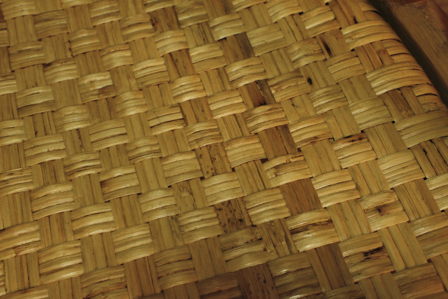 Bamboo Armchair