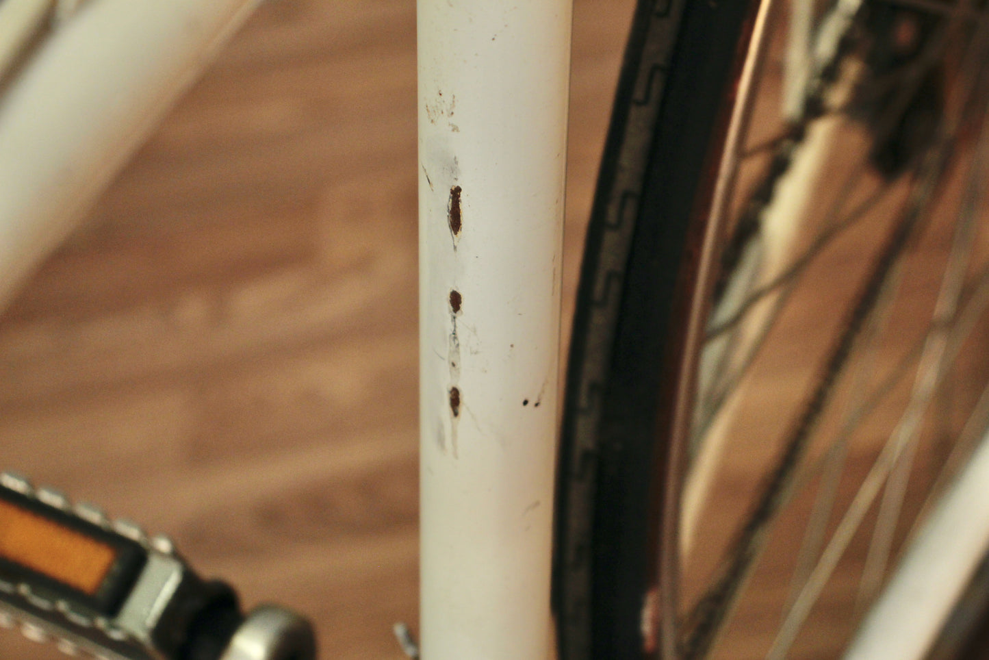 1980s Schwinn World White Bicycle - ONLINE ONLY