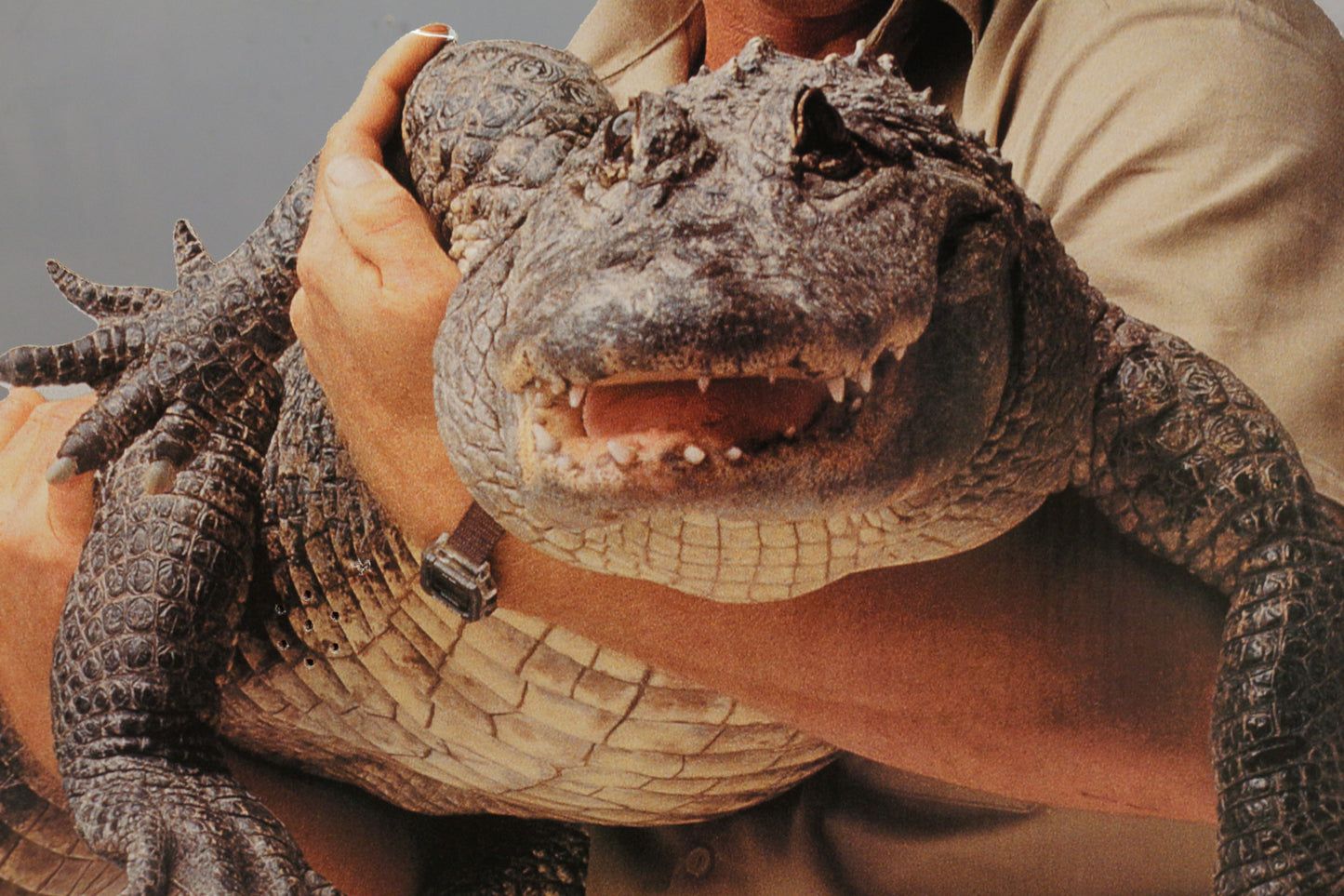 Steve Irwin Cardboard Cutout
