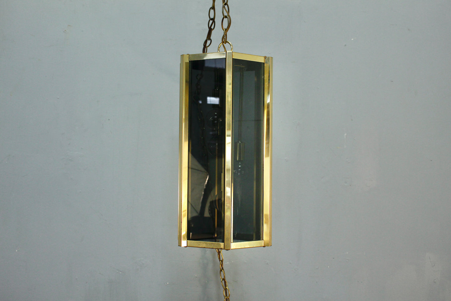 Fredrick Raymond Smoked Glass Swag Lamp