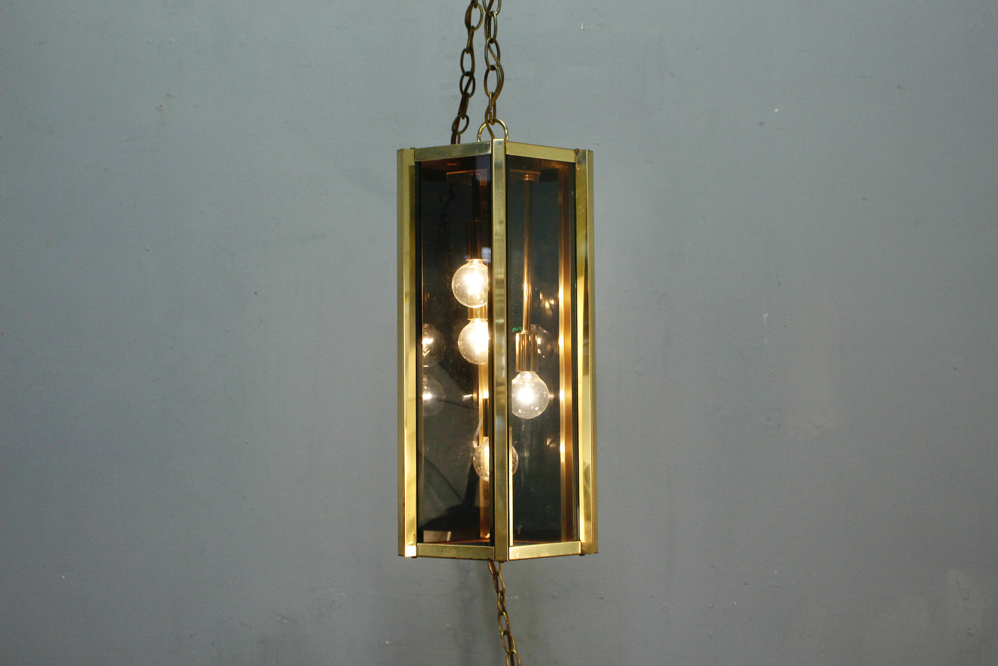 Fredrick Raymond Smoked Glass Swag Lamp