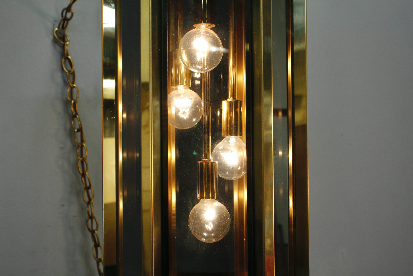 Fredrick Raymond Smoked Glass Swag Lamp