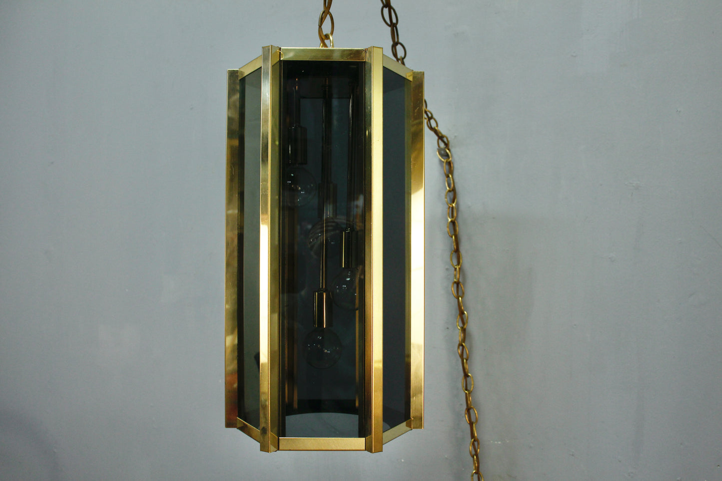 Fredrick Raymond Smoked Glass Swag Lamp