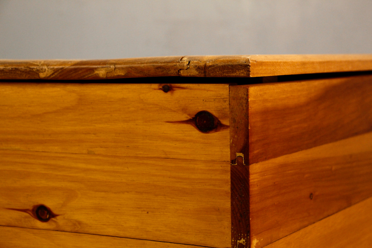 Pine Plank Trunk