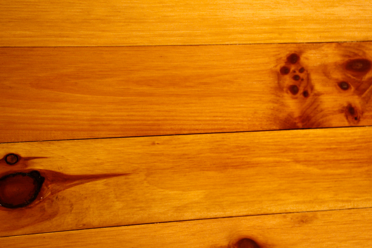 Pine Plank Trunk