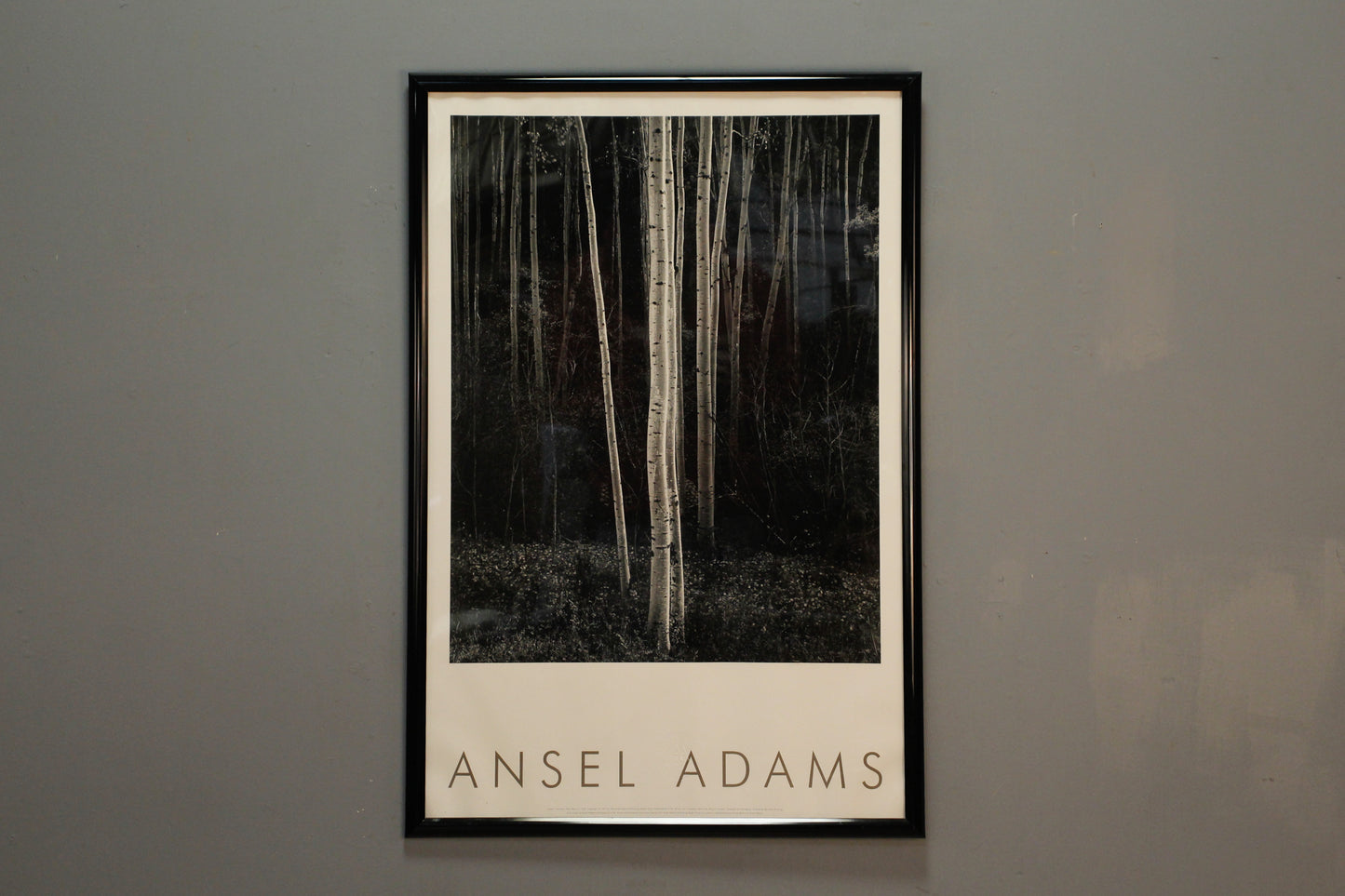 "Aspens" Ansel Adams Print