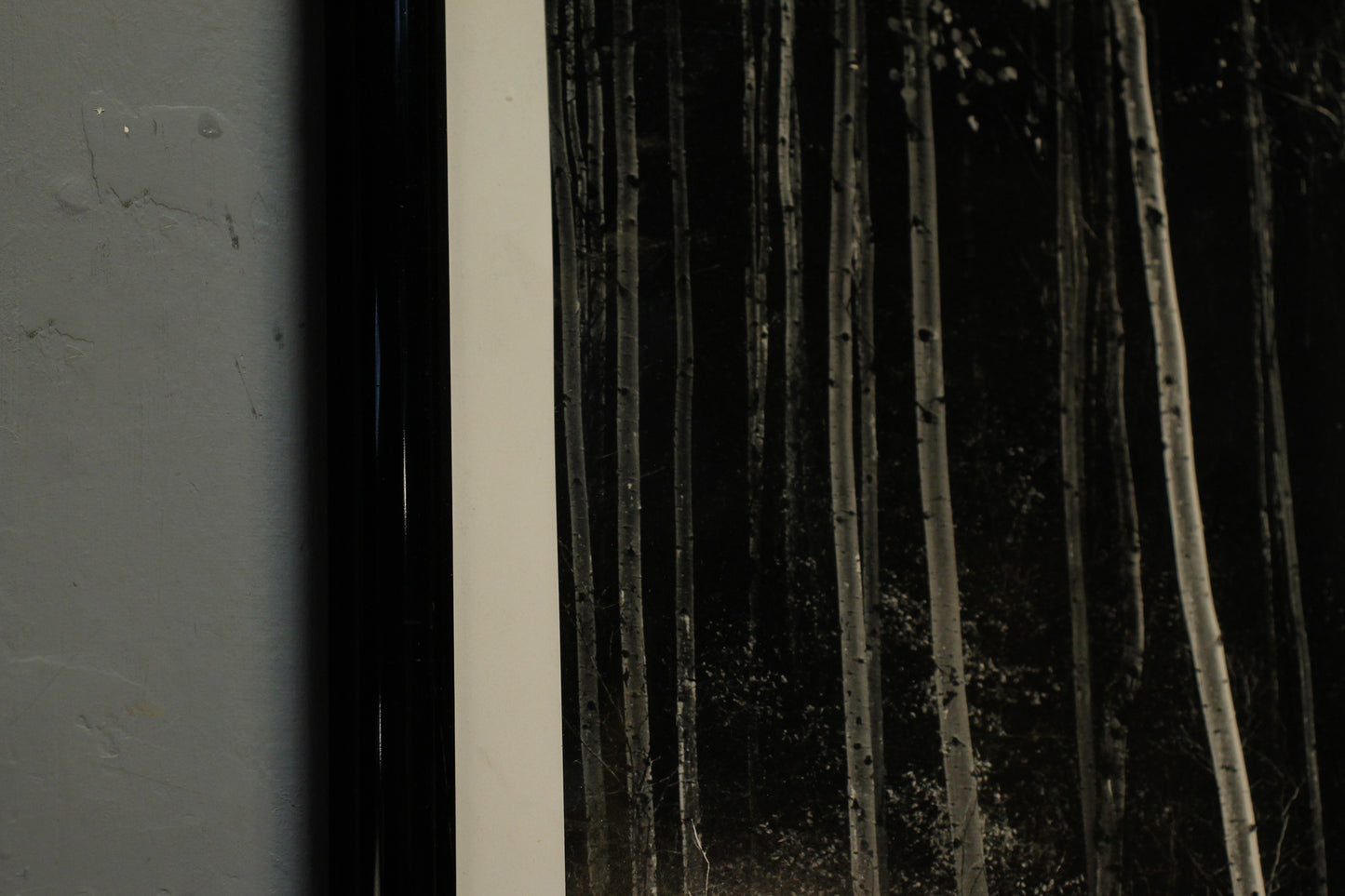 "Aspens" Ansel Adams Print