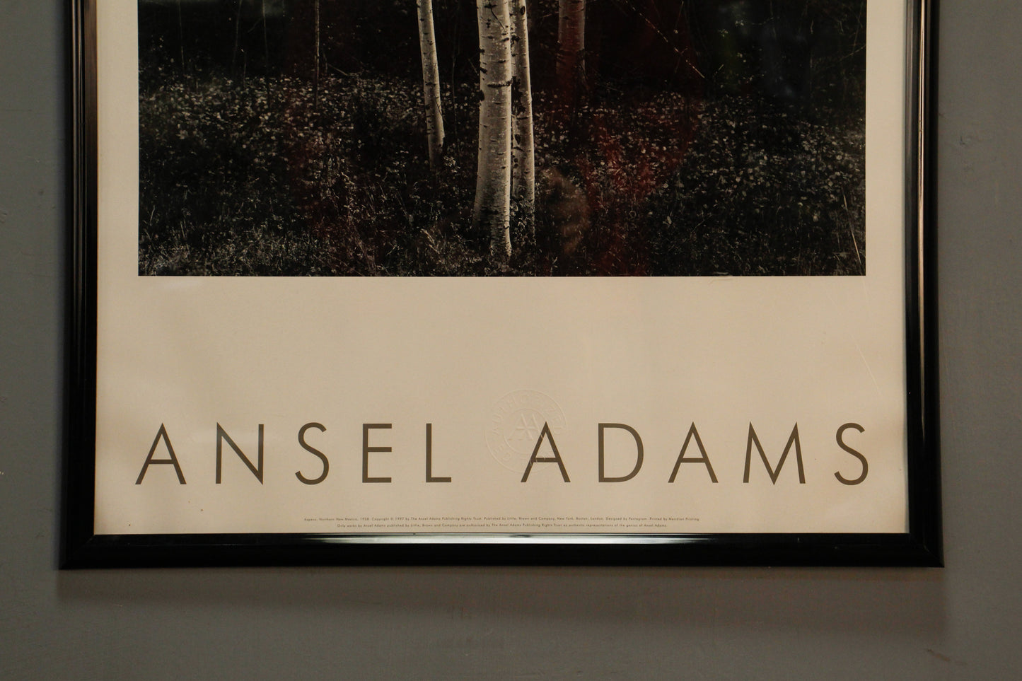 "Aspens" Ansel Adams Print
