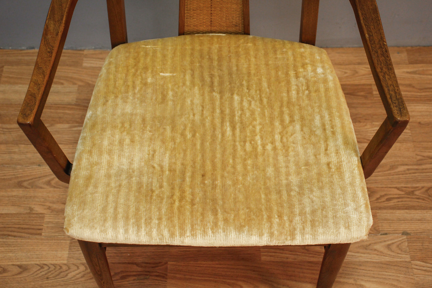 Mid Century Walnut & Champagne Armchair