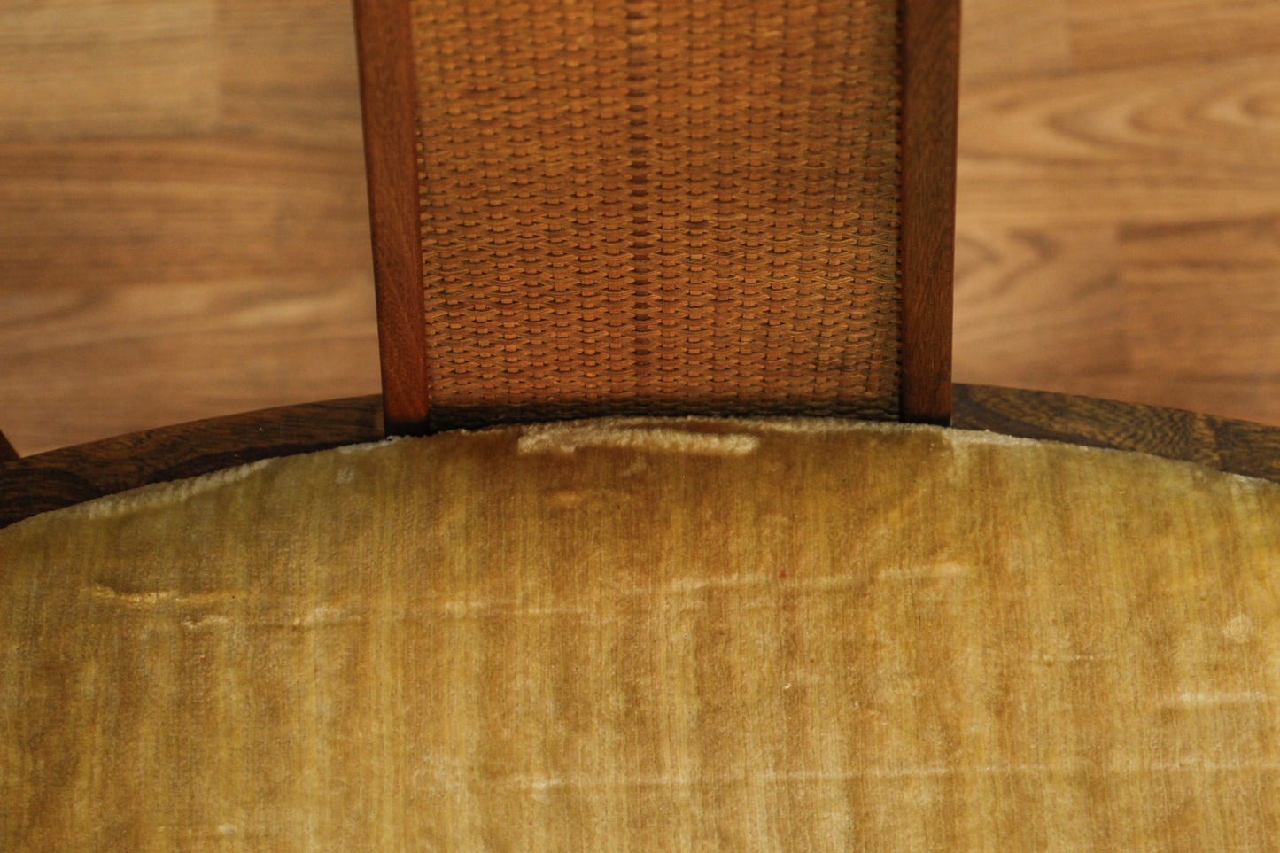 Mid Century Walnut & Champagne Armchair
