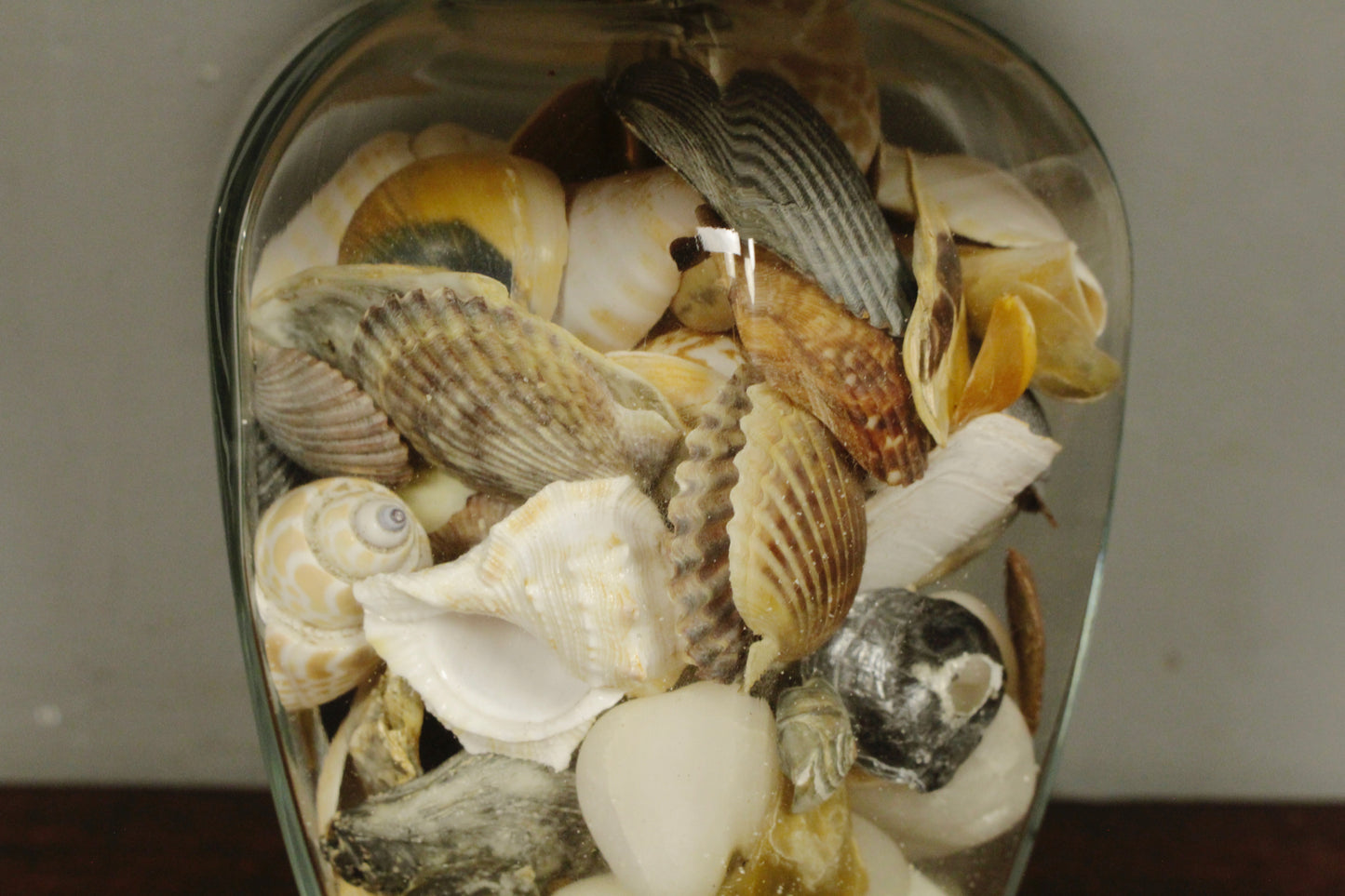 Seashells & Glass Table Lamp