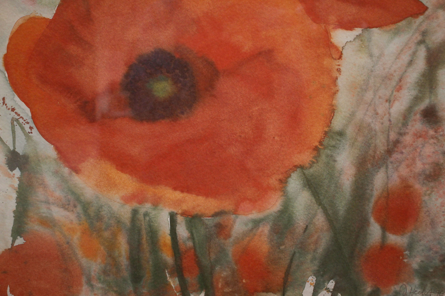 "Tuscany Poppies" Print