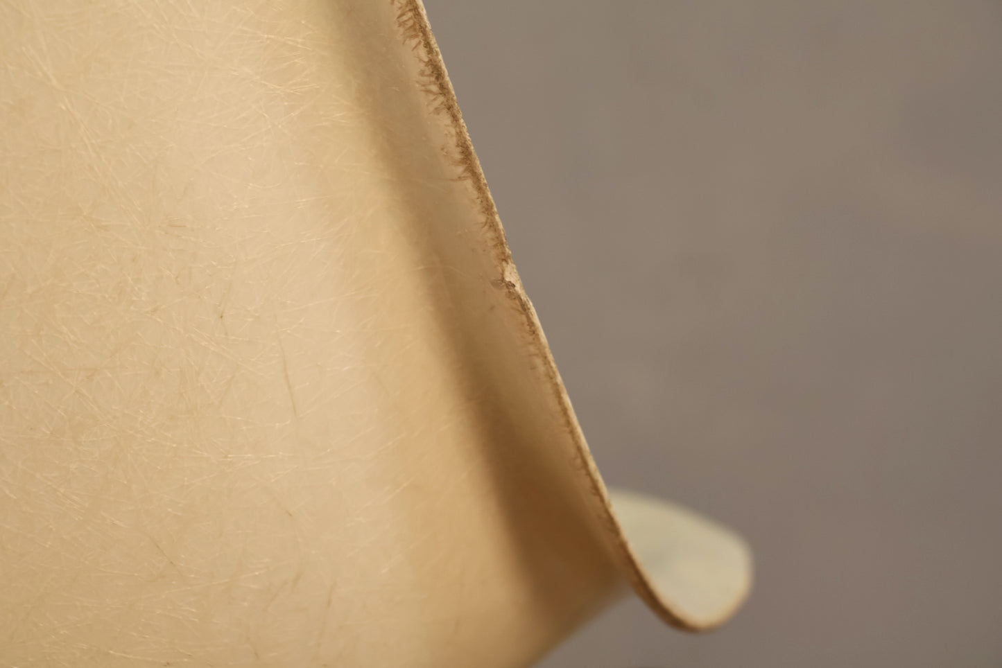 Eames 1960s Parchment Fiberglass DSS Chair