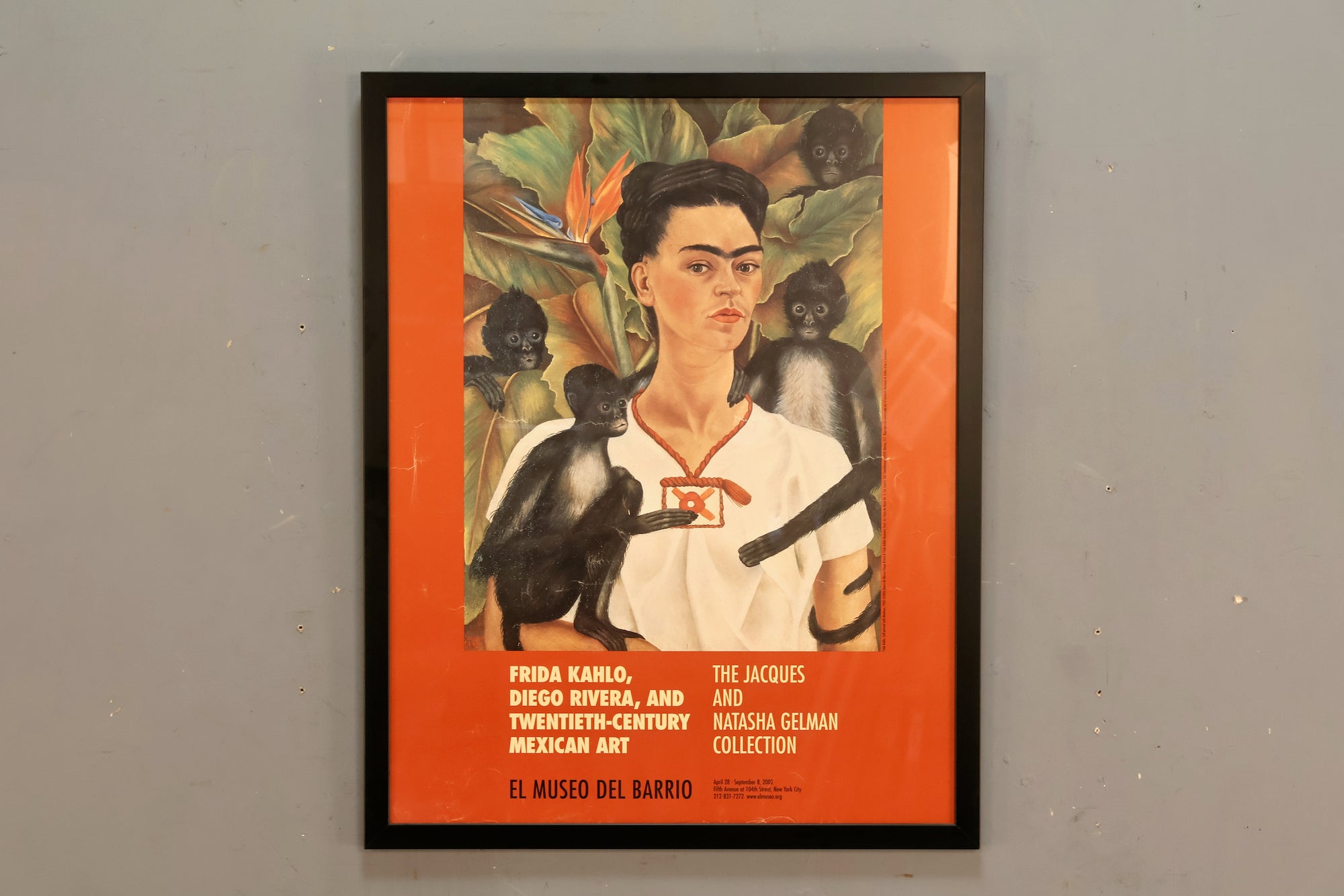 Frida Kahlo Museum Print – Furnish Green