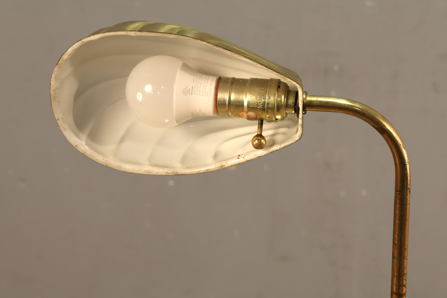 Brass Shell Reading Lamp