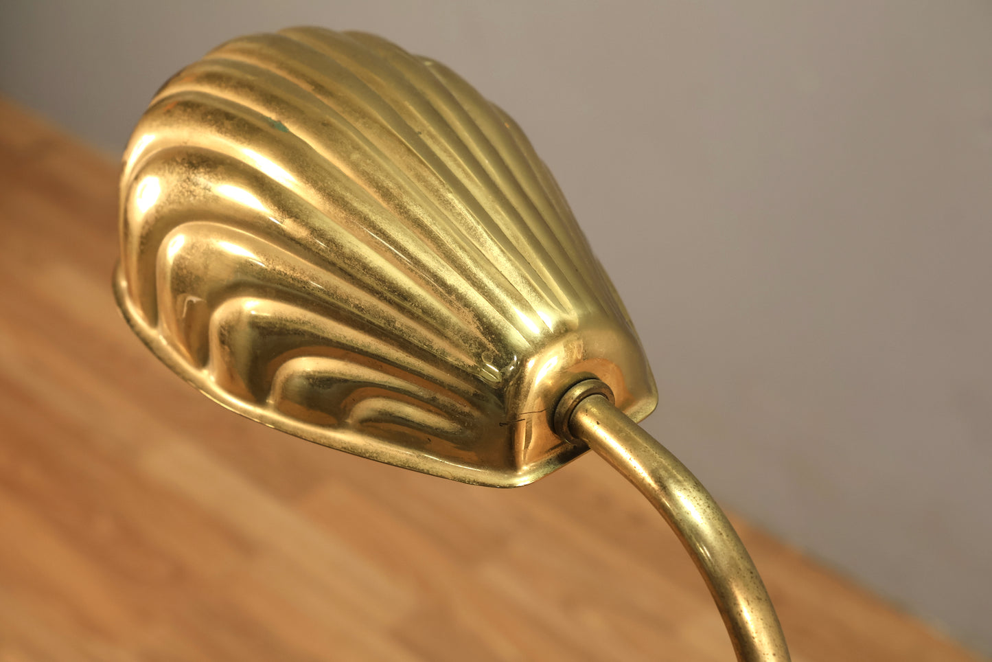 Brass Shell Reading Lamp