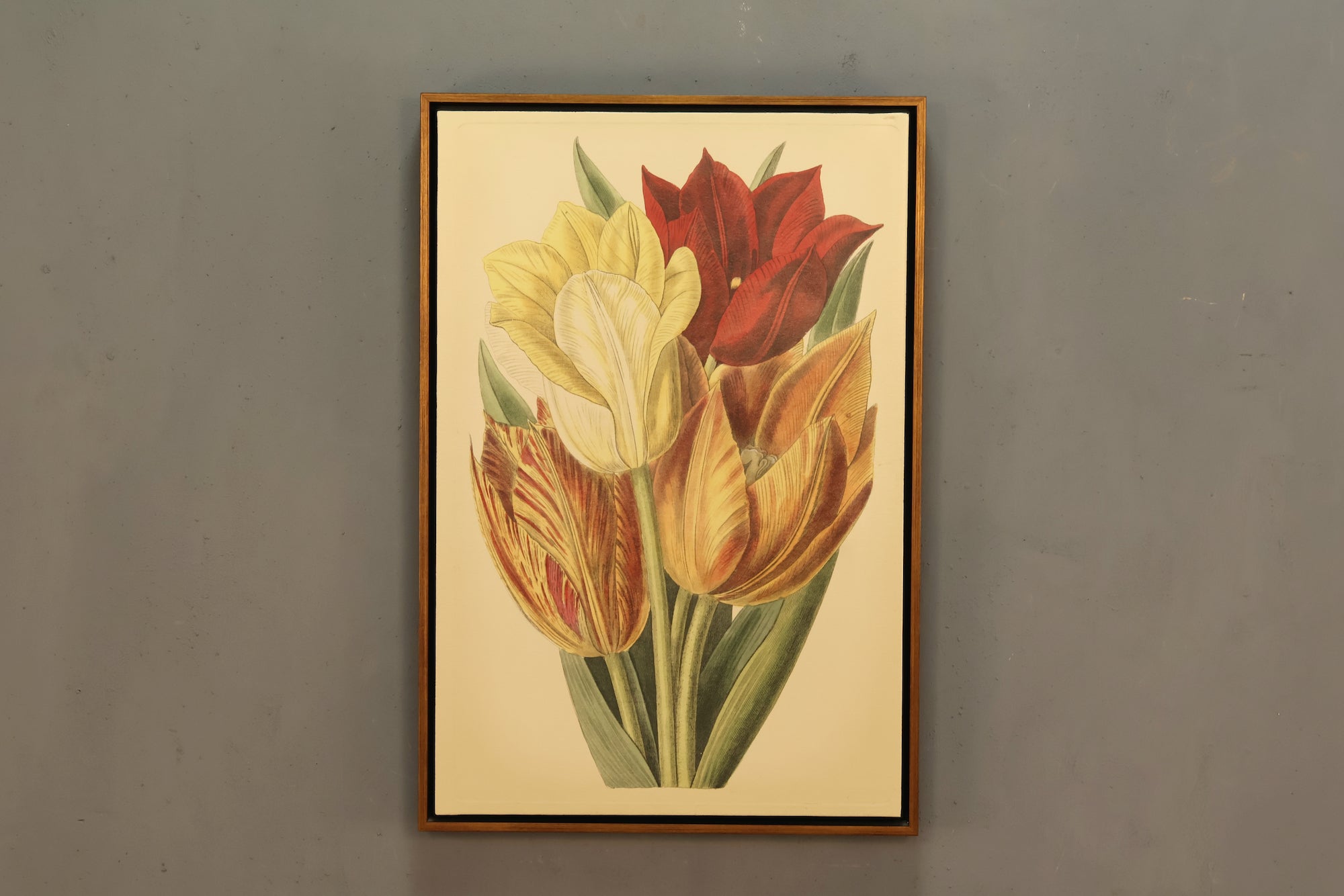 Tiptoe Through the Tulips