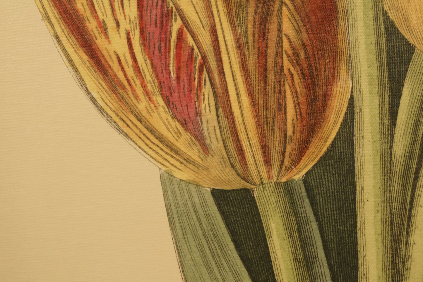 "Tiptoe Through the Tulips" Print