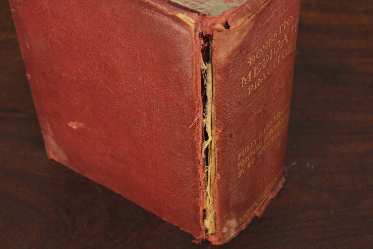"Domestic Medical Practice" 1918 Book