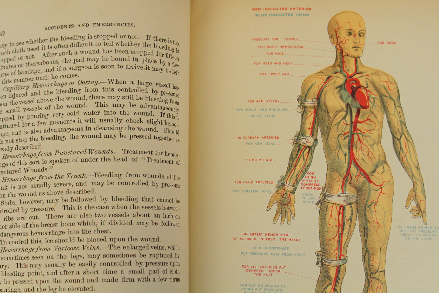 "Domestic Medical Practice" 1918 Book