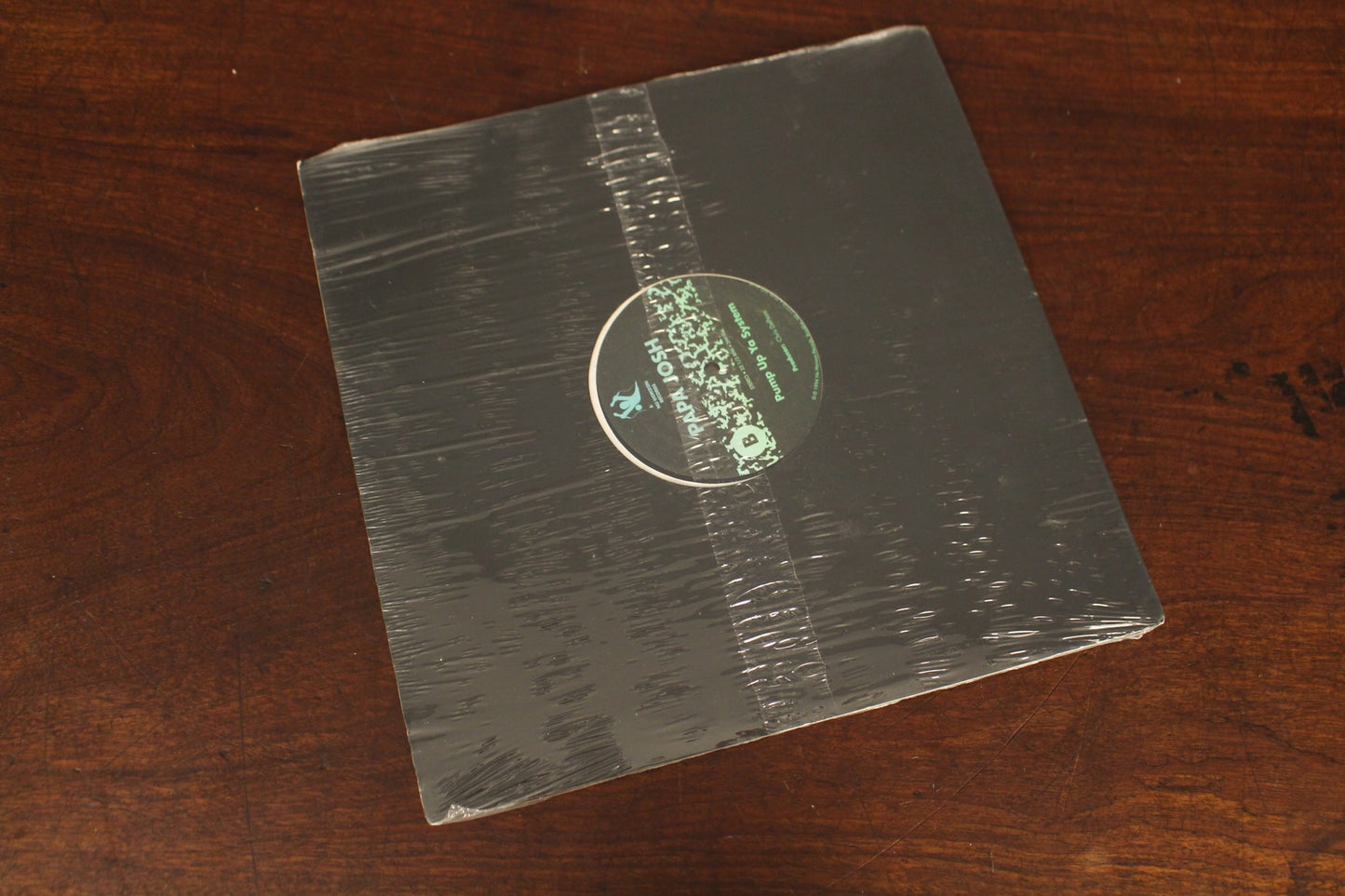 Papa Josh "Each and Everyday" 1994 LP