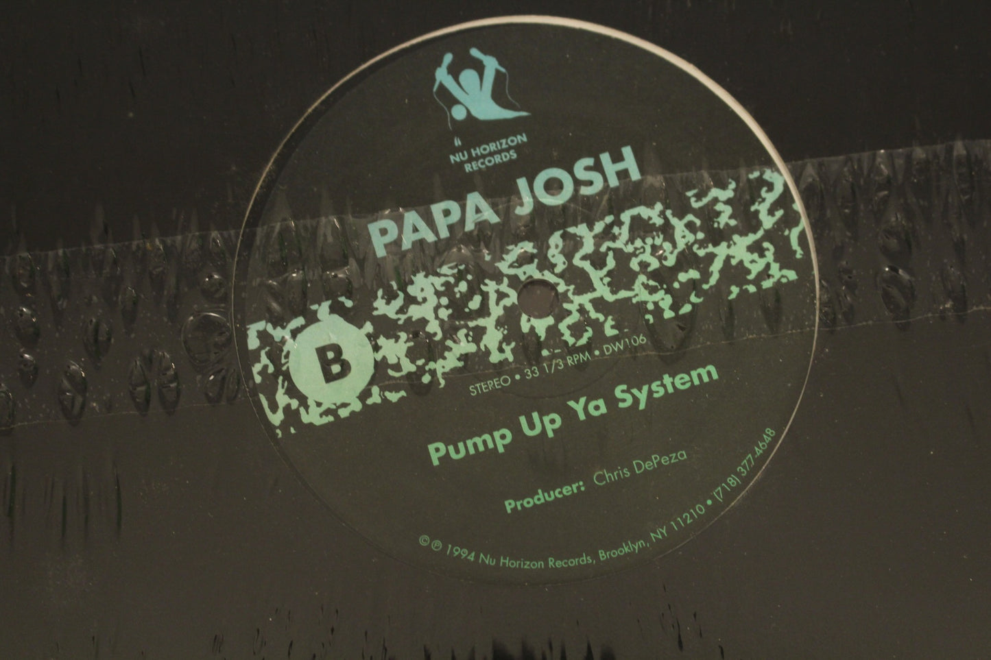 Papa Josh "Each and Everyday" 1994 LP