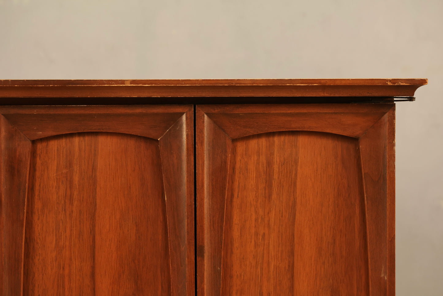Mid Century Walnut 2-Door Cabinet