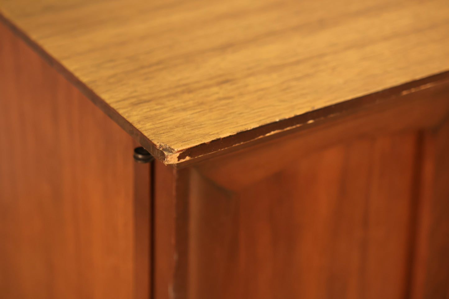 Mid Century Walnut 2-Door Cabinet