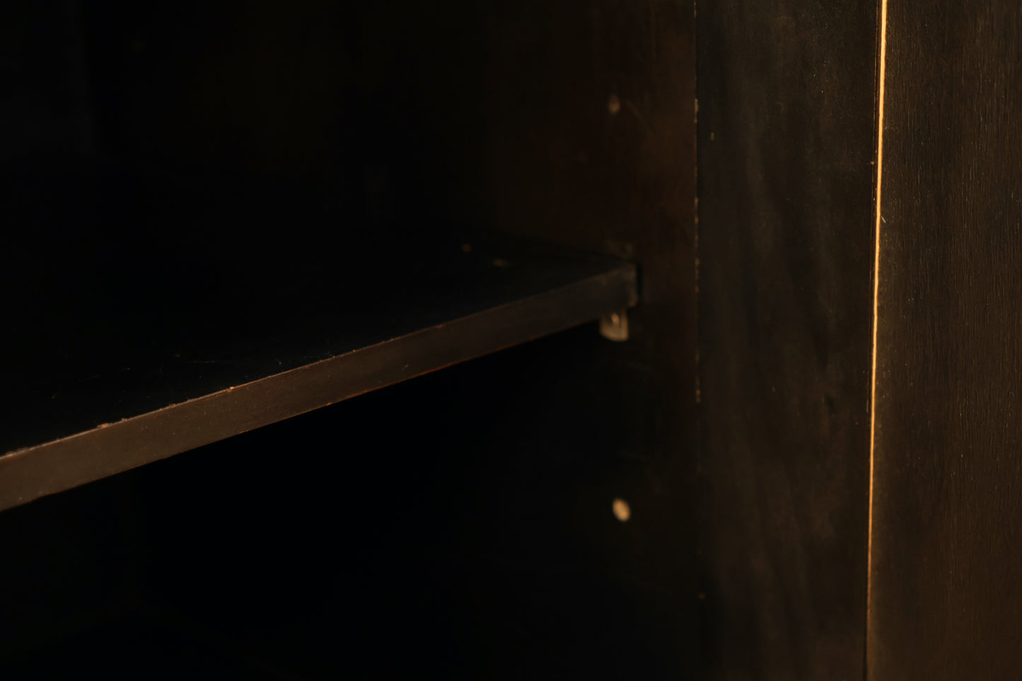 Hollywood Regency Black 2-Door Cabinet