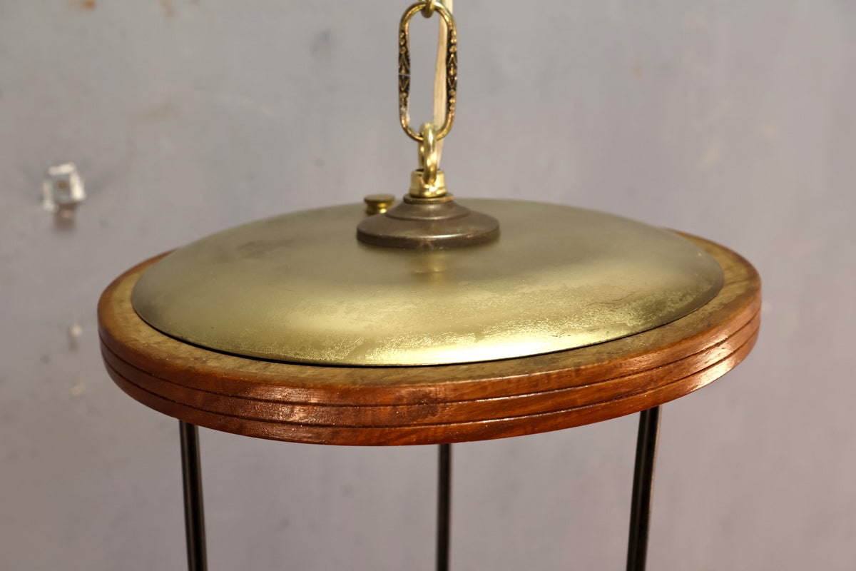 Capiz & Brass Pendant Swag Lamp