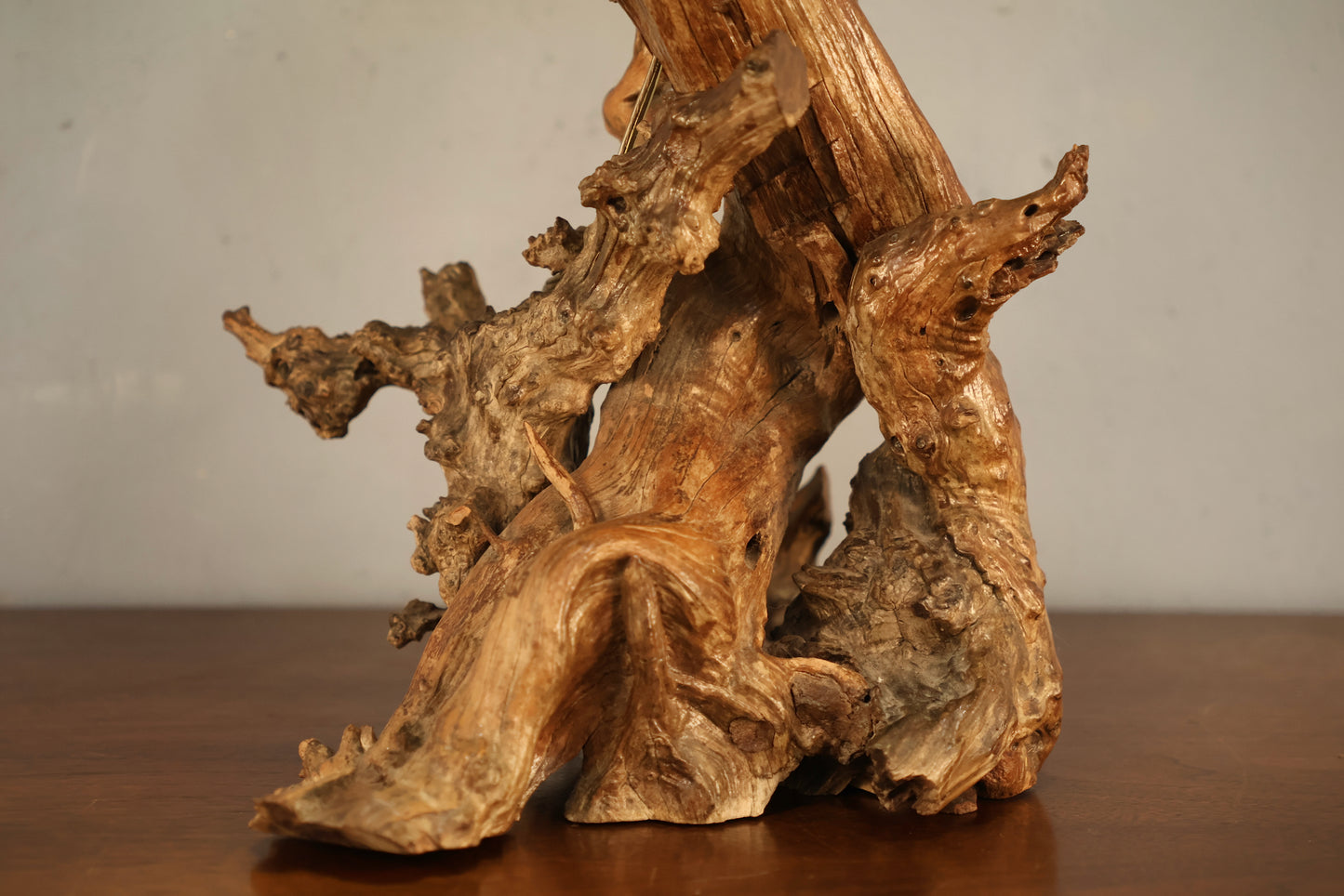 Twisted Driftwood Table Lamp