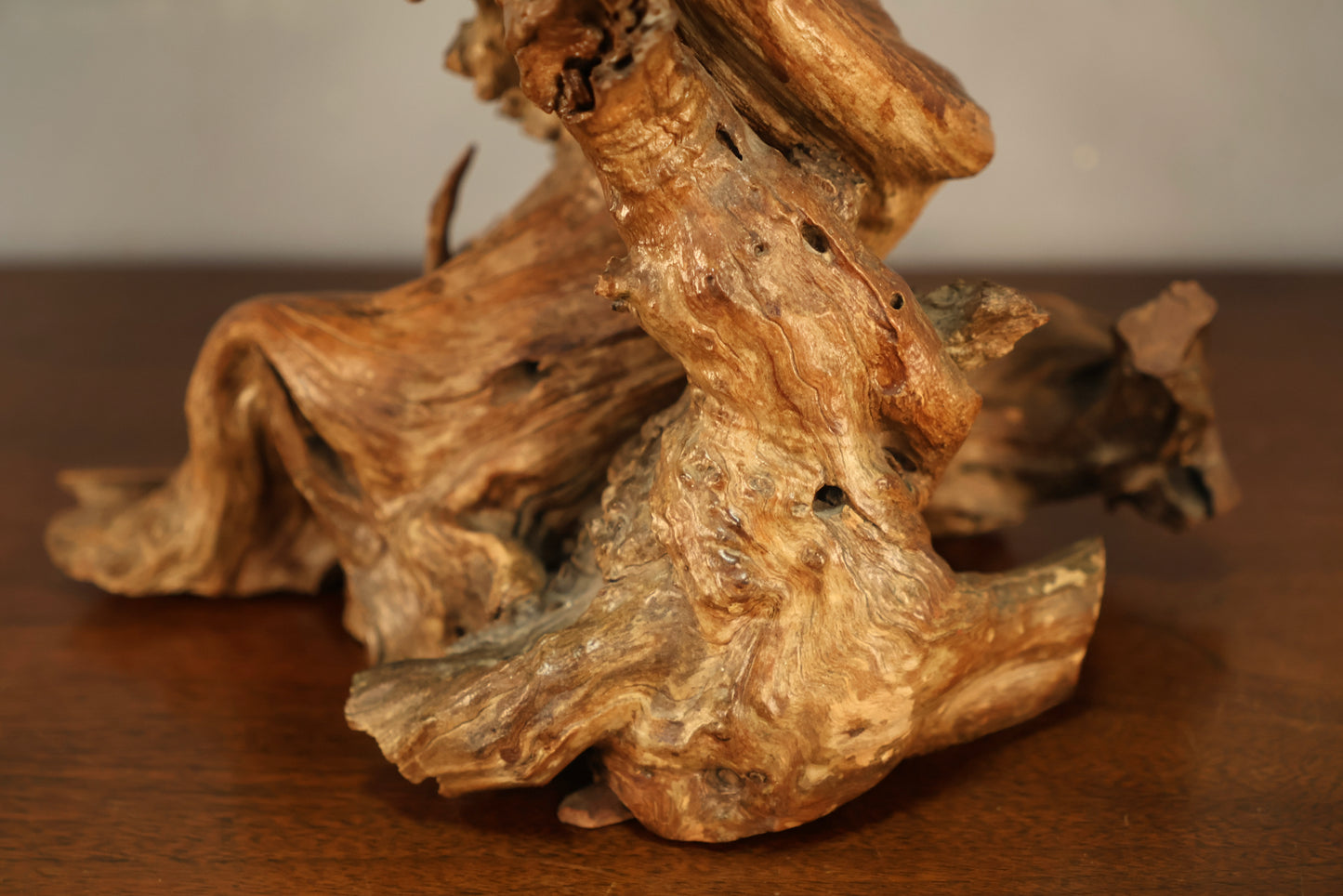 Twisted Driftwood Table Lamp