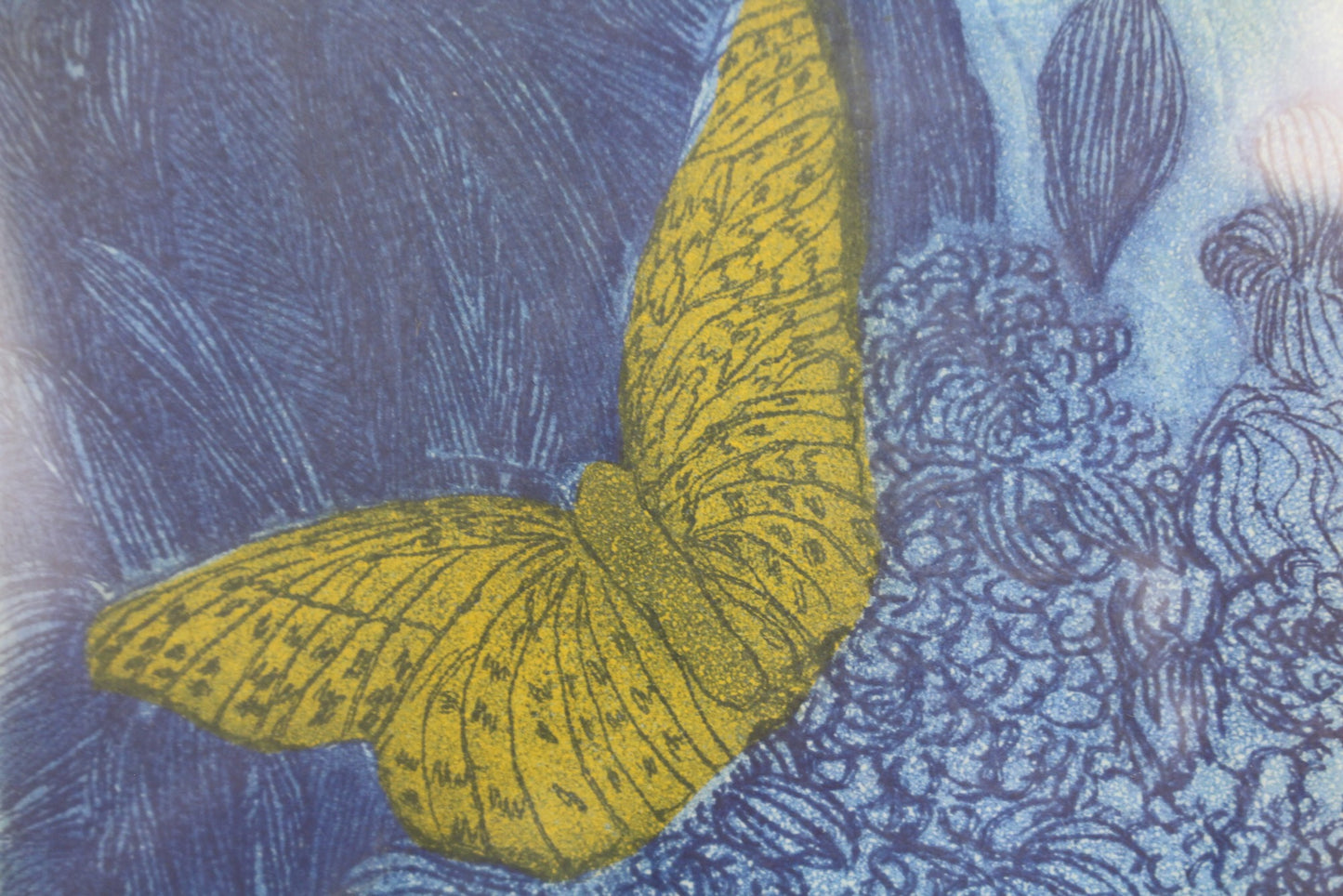 "Butterfly" Joy Jerviss Etching