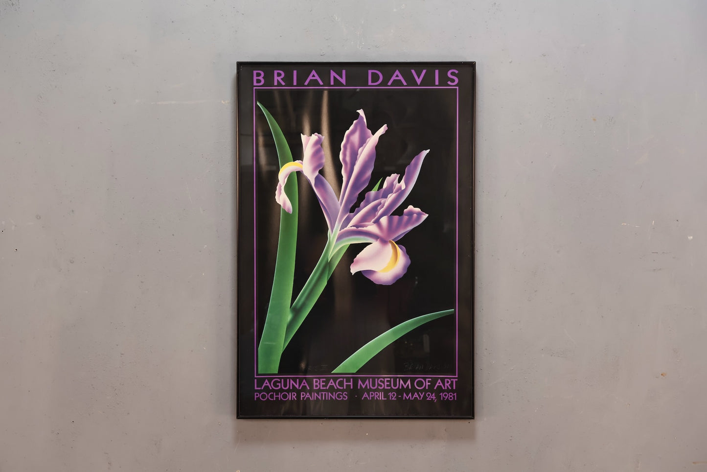 "Iris V" Brian Davis Print
