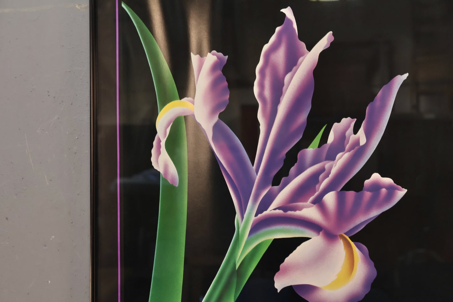 "Iris V" Brian Davis Print