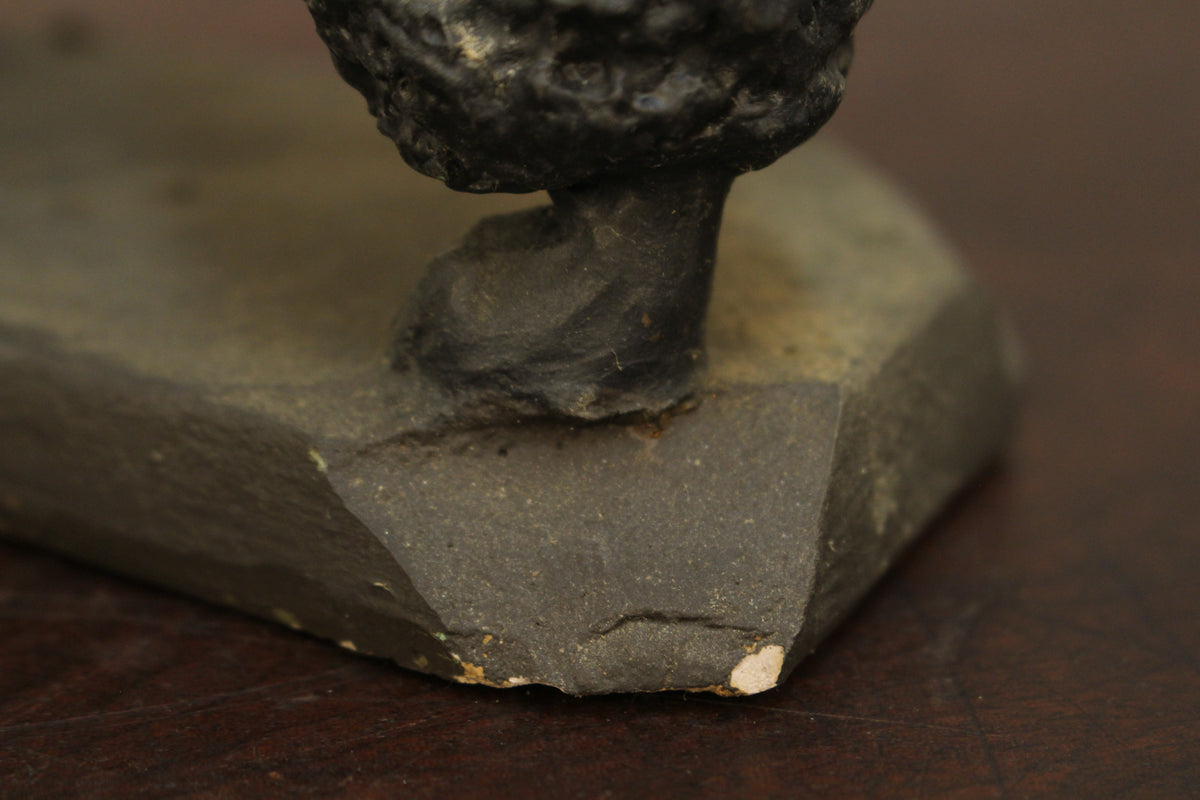 Cast Iron Poodle Door Stop