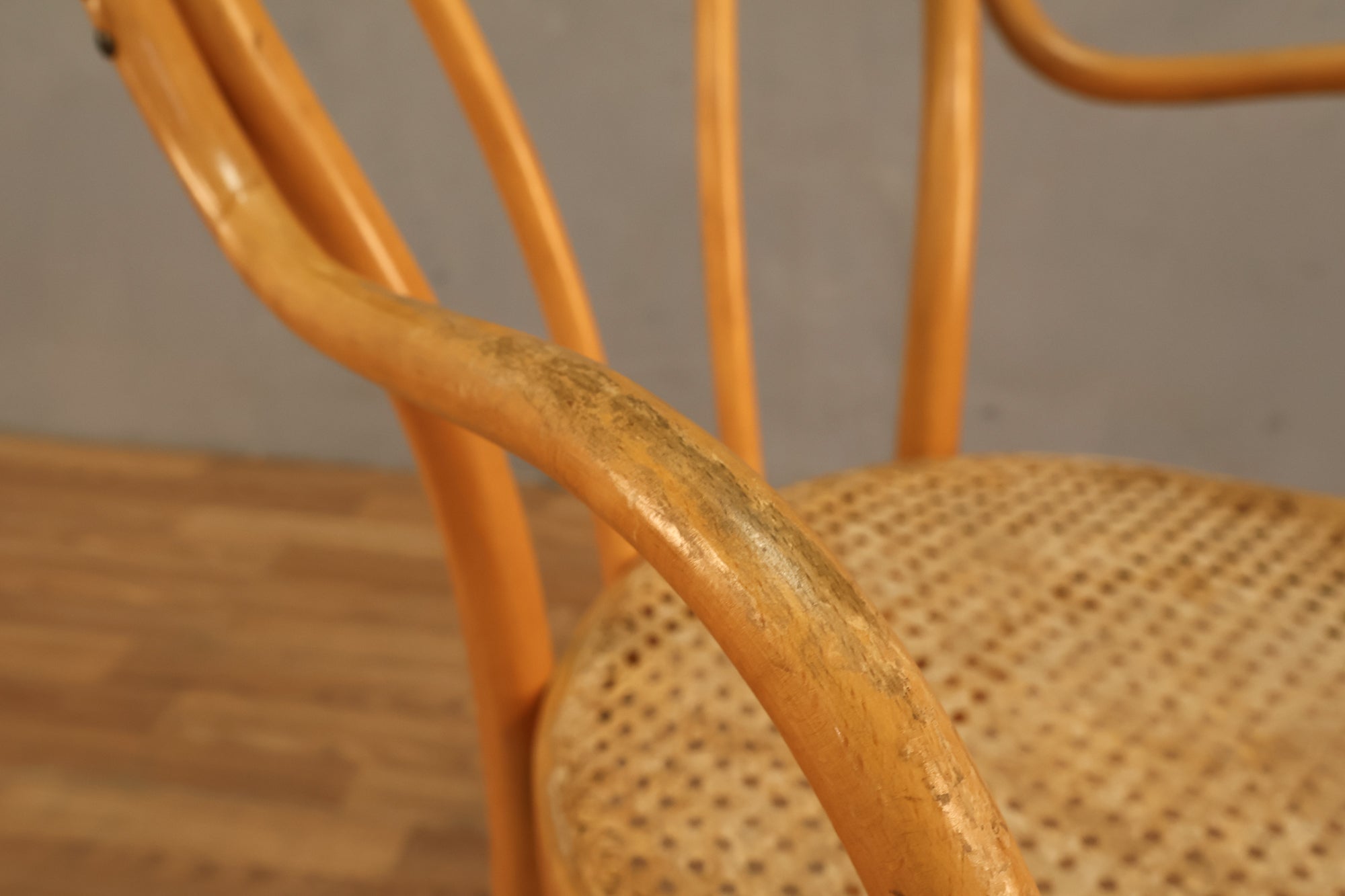 Radomsko Bentwood & Cane Armchair – Furnish Green