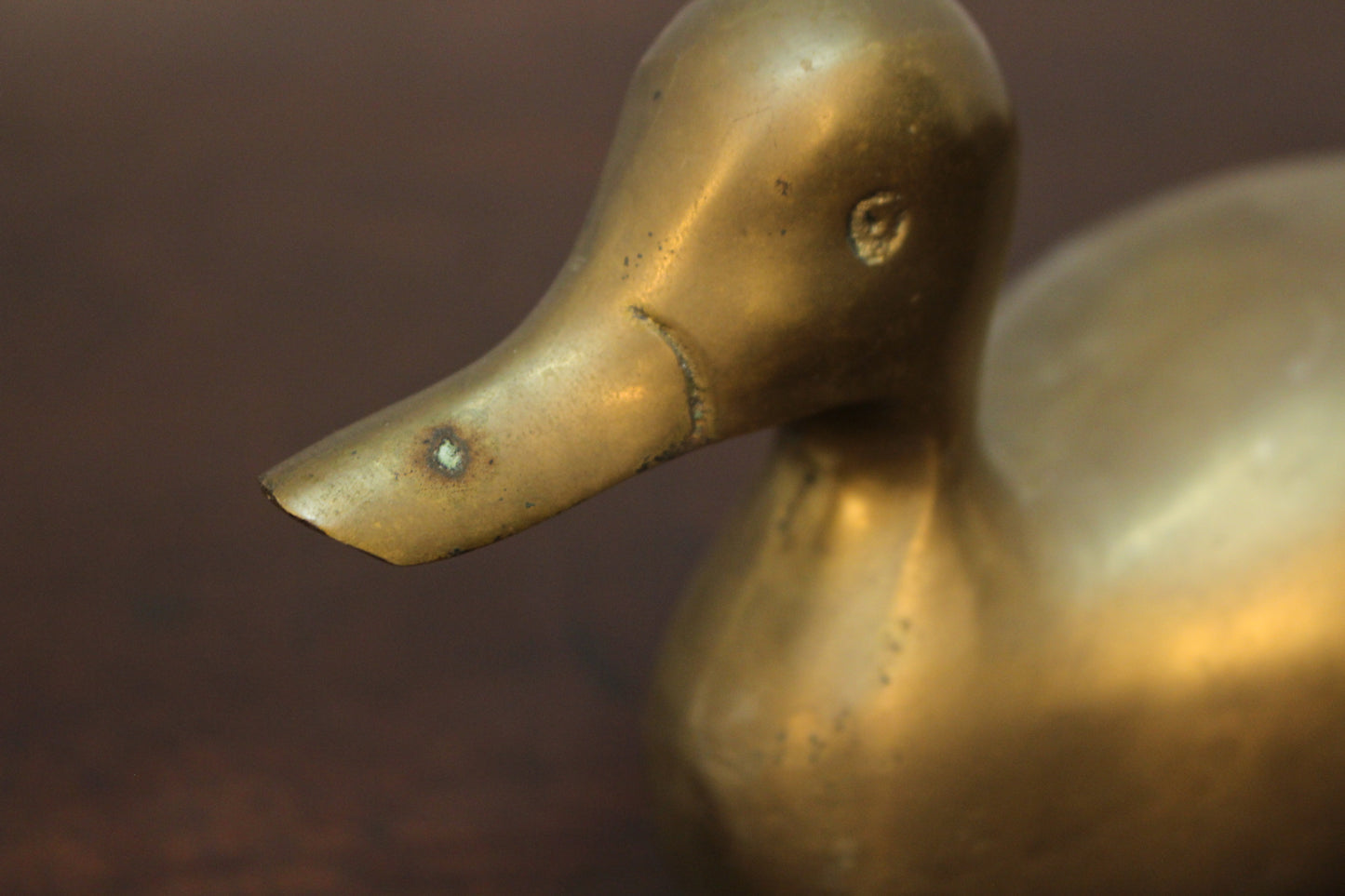 Brass Duck