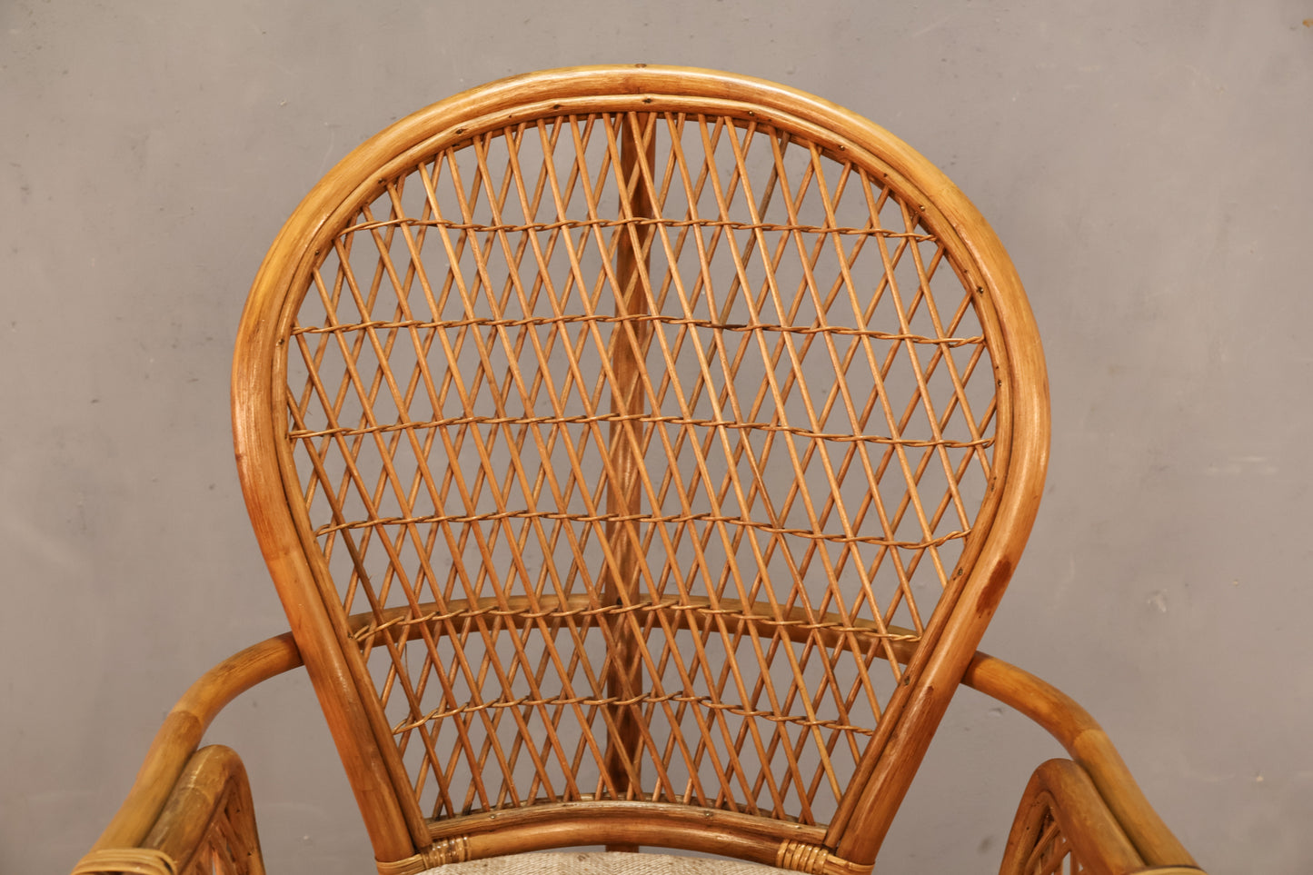 Coastal Fan-Back Rattan Armchair - ONLINE ONLY